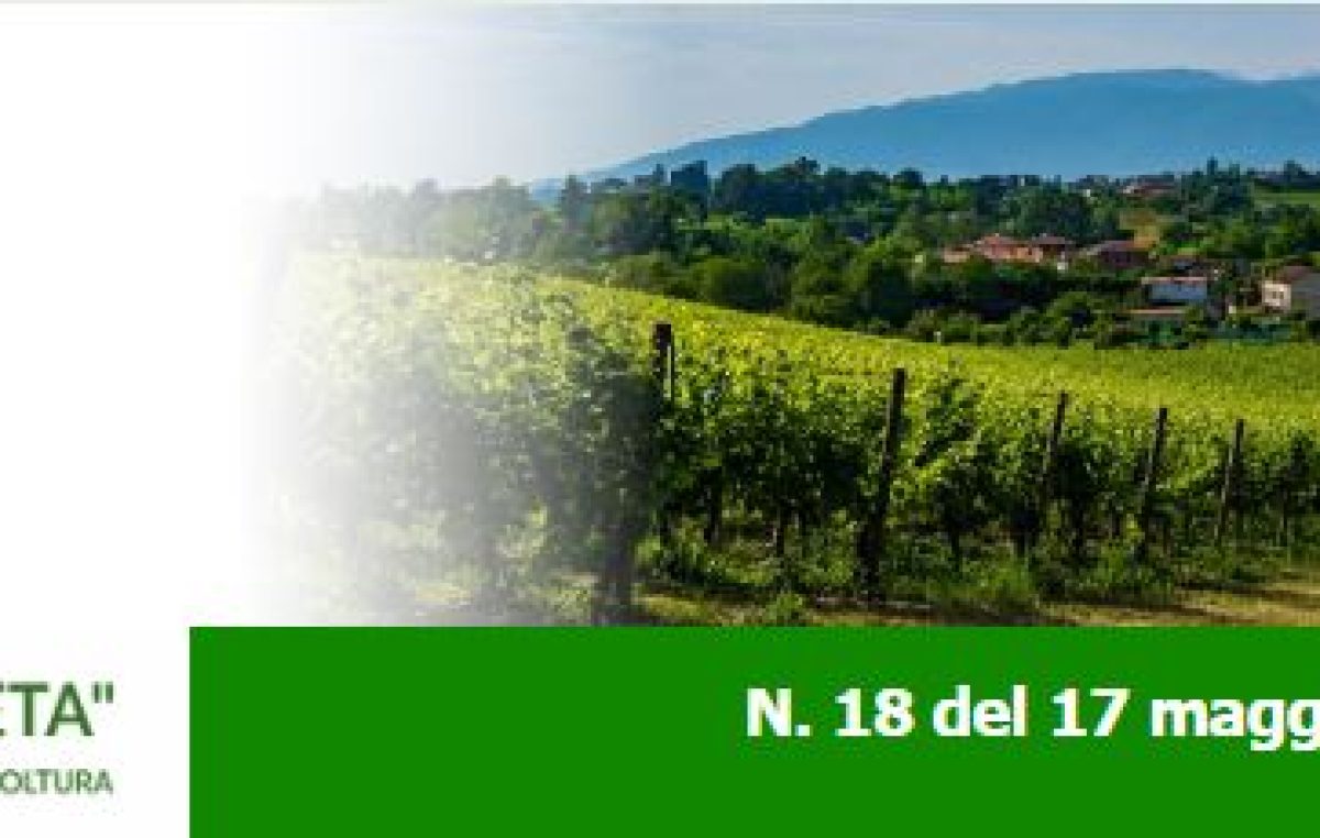 Newsletter Agricoltura Veneta n. 18 del 17 maggio 2023