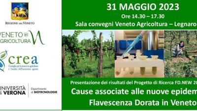 Cause associate alle nuove epidemie di  Flavescenza Dorata in Veneto – Presentazione dei risultati del Progetto di Ricerca FD.NEW 2021-2022