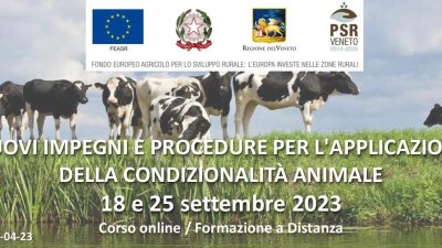 Nuovi impegni e procedure per l’applicazione della condizionalità animale