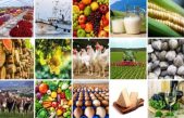Rapporto 2022 sulla congiuntura del comparto agroalimentare veneto