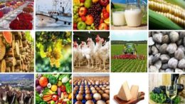 Rapporto 2022 sulla congiuntura del comparto agroalimentare veneto
