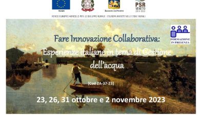 Fare innovazione collaborativa: Esperienze italiane in tema di gestione dell’acqua