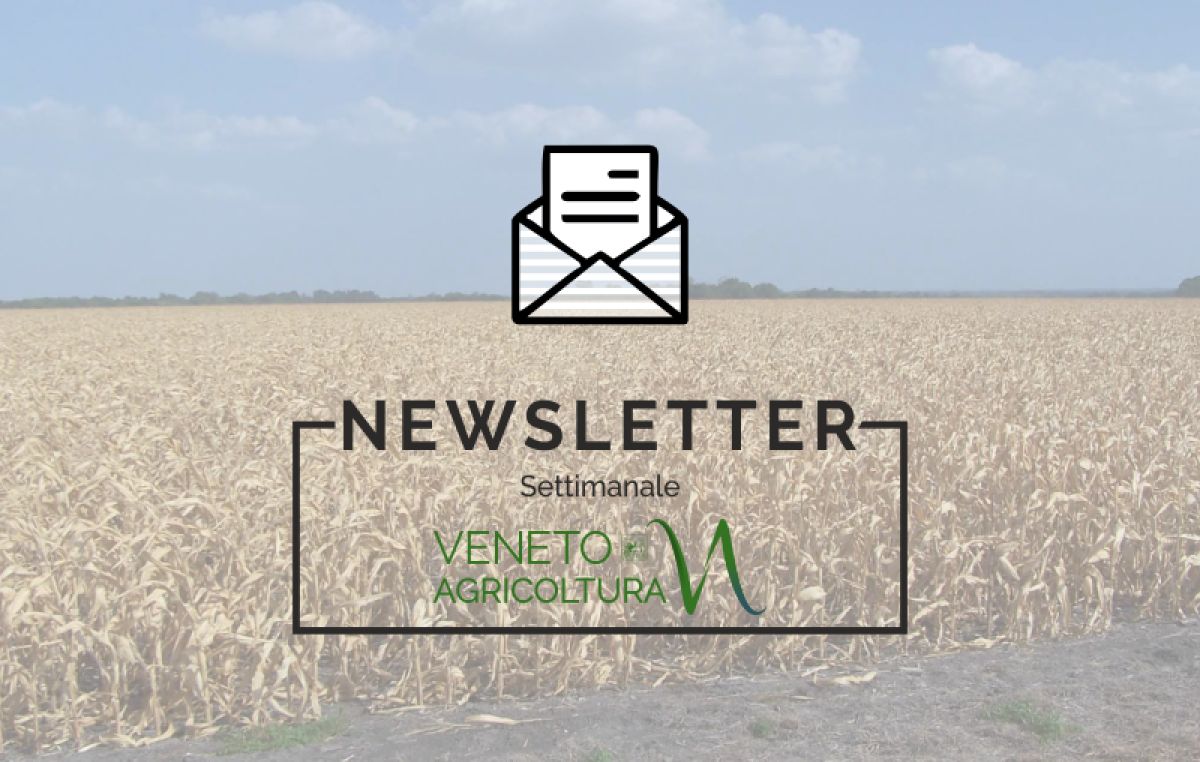 Newsletter Agricoltura Veneta n°41 del 14.12.23