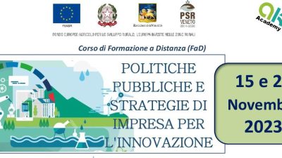 Politiche pubbliche e strategie di impresa per l’innovazione