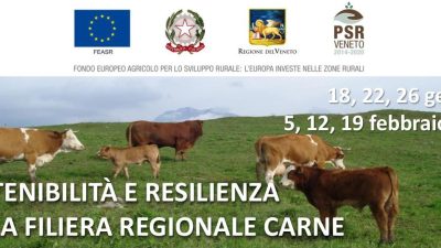 Sostenibilità e resilienza nella filiera regionale carne