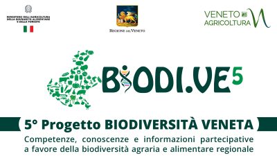 5° Progetto BIODIVERSITÀ VENETA – Competenze, conoscenze e informazioni partecipative a favore della biodiversità agraria e alimentare regionale.