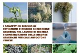 I concetti di estinzione e rischio e di erosione genetica nel lavoro di ricerca e conservazione delle risorse genetiche viticole autoctone venete