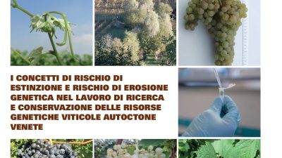I concetti di estinzione e rischio e di erosione genetica nel lavoro di ricerca e conservazione delle risorse genetiche viticole autoctone venete