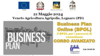 Business-Plan On Line (BPOL) – CORSO AVANZATO