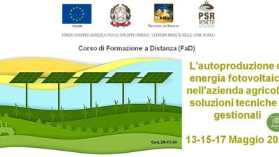 L’autoproduzione di energia fotovoltaica nell’azienda agricola: soluzioni tecniche e gestionali